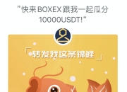 币圈大神花样玩法，尽在Boxex