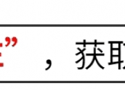 在当今社会，这份天价保单深刻地揭示了人们对于风险规避和财富管理的新诉求。它不仅体现了经济发展带来的个性化和多元化需求，也反映出了保险行业本身的革新和进步。同时，作为投资和理财渠道的多样化，人们逐渐认识